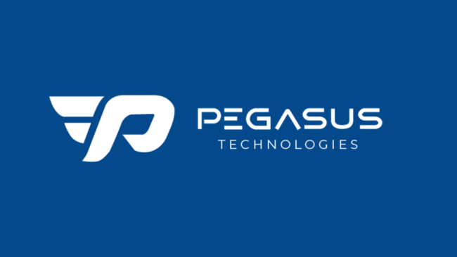 Pegasus Technologies Website Development